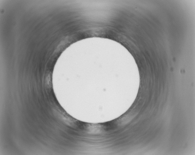 X0000059040336200511041643