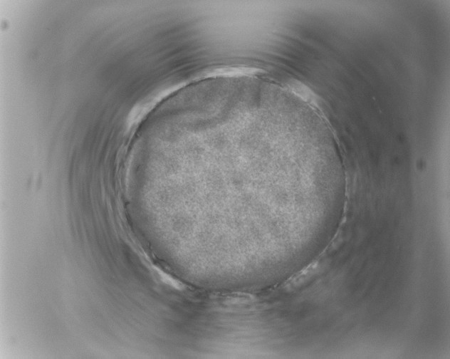 X0000059040337200511041642