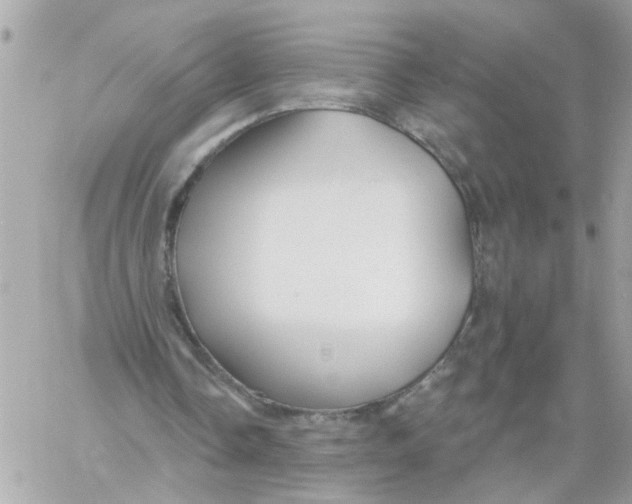 X0000059040338200511041642