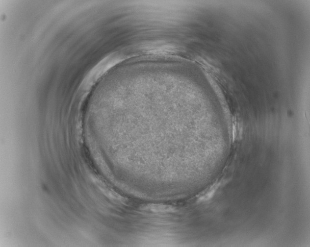 X0000059040339200511041642