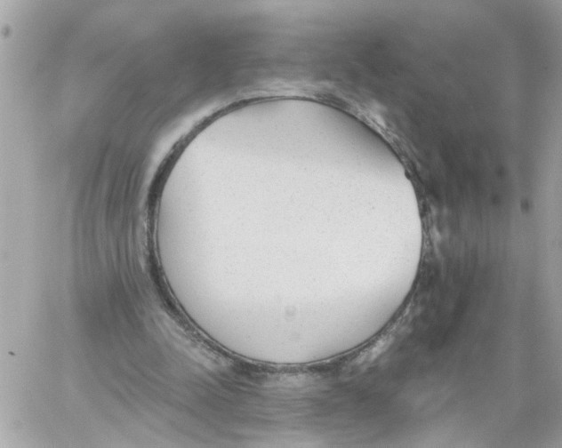 X0000059040342200511041642