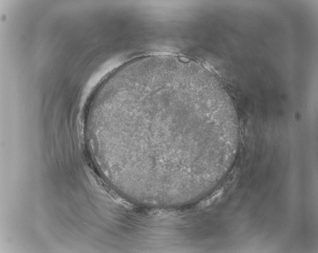 X0000059040343200511041642