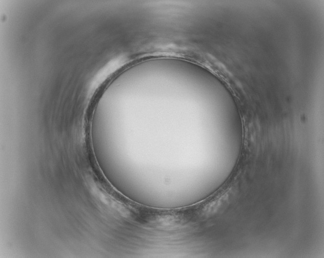 X0000059040344200511041642