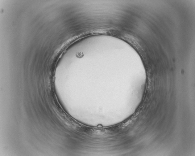 X0000059040346200511041642