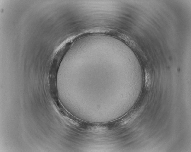 X0000059040348200511041642