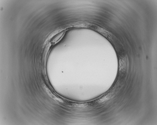 X0000059040349200511041642