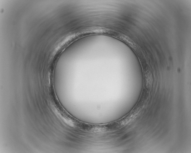 X0000059040350200511041642