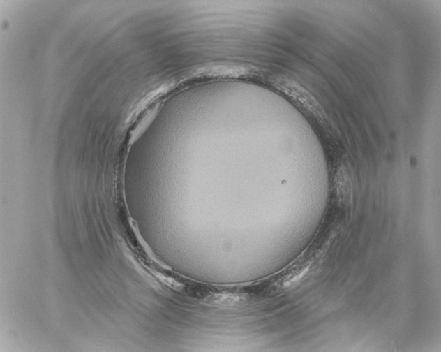 X0000059040352200511041642