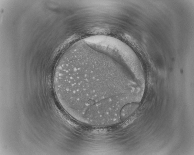 X0000059040353200511041642