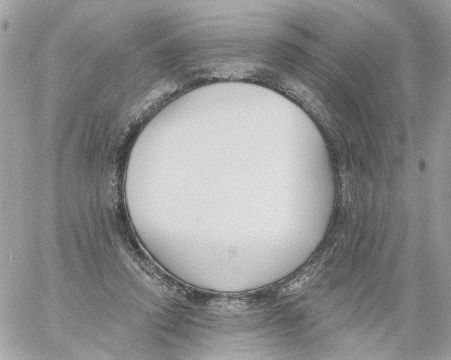 X0000059040354200511041642