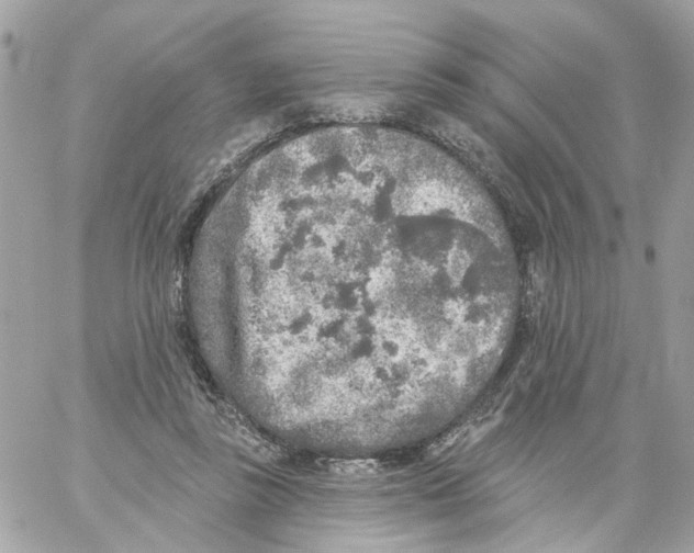 X0000059040355200511041642