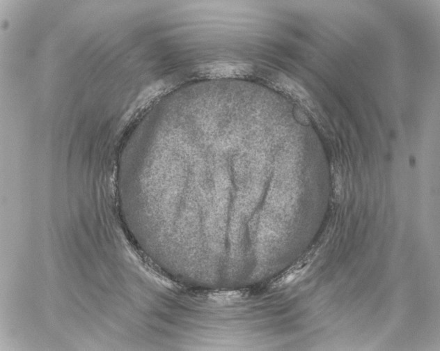 X0000059040357200511041642