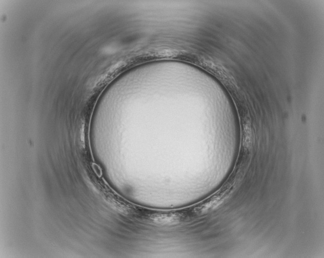 X0000059040358200511041642