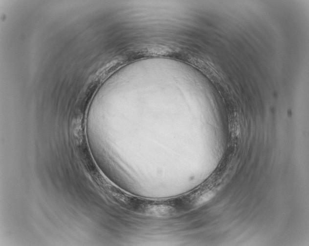 X0000059040360200511041642