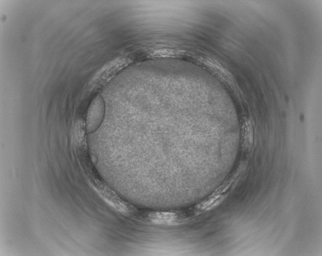 X0000059040361200511041642