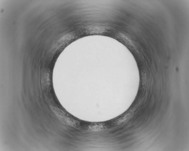 X0000059040362200511041642