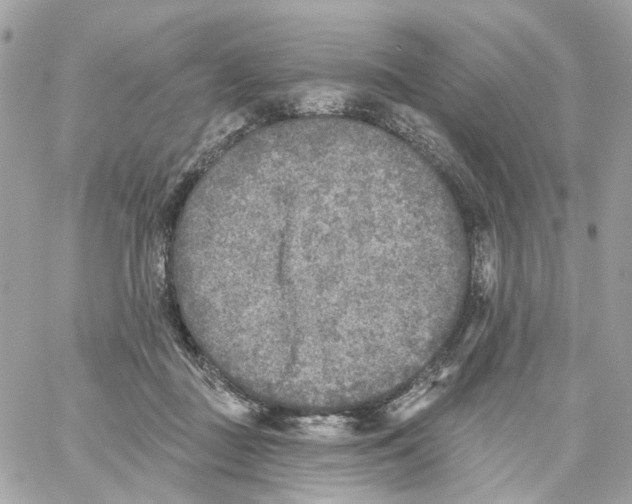 X0000059040363200511041642