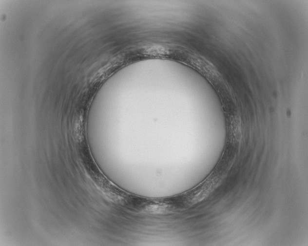 X0000059040364200511041642