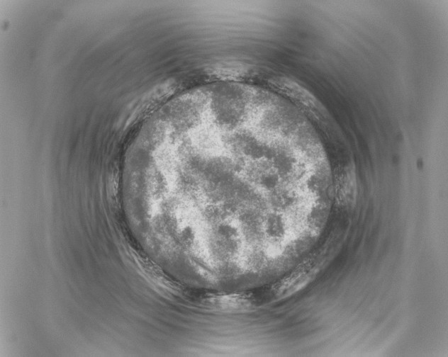 X0000059040365200511041643