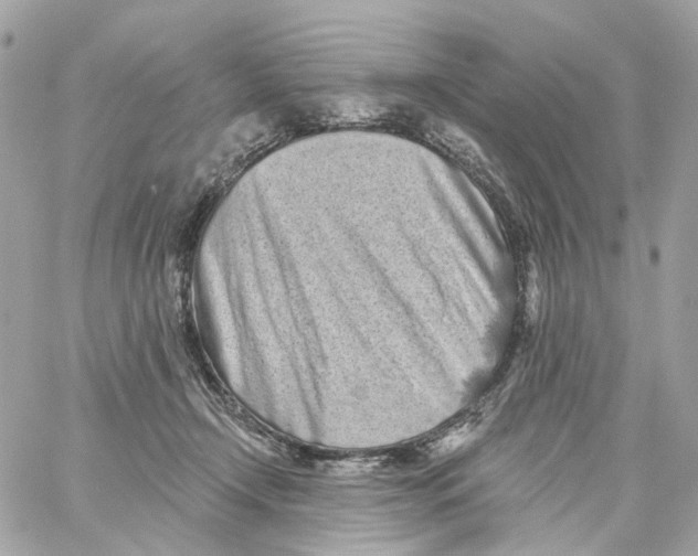 X0000059040366200511041643