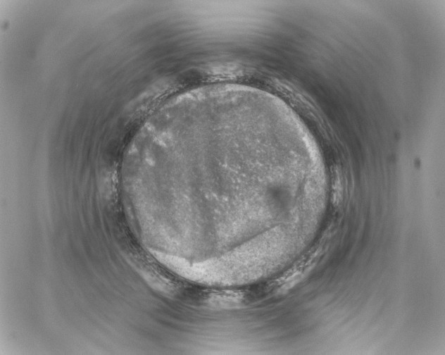 X0000059040369200511041643