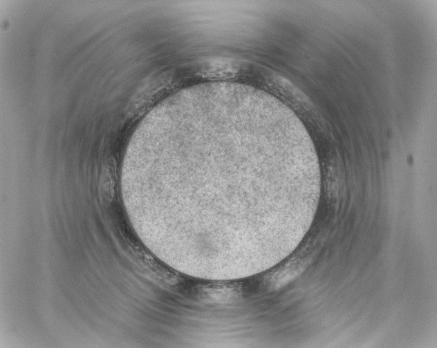 X0000059040370200511041643