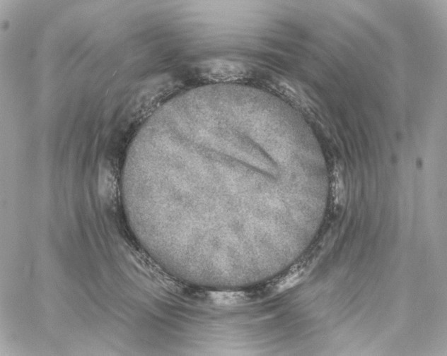 X0000059040371200511041643