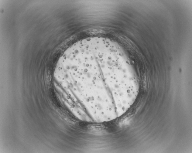 X0000059040372200511041643