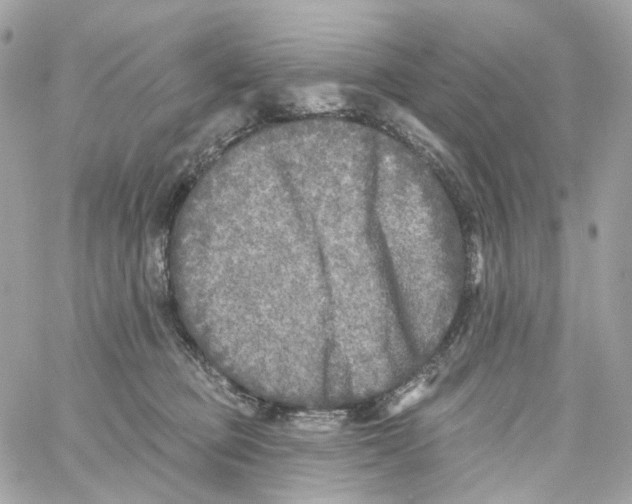 X0000059040373200511041643