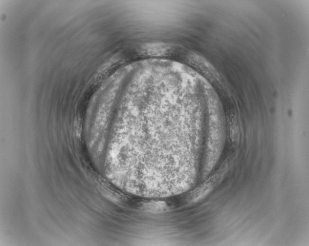 X0000059040374200511041643