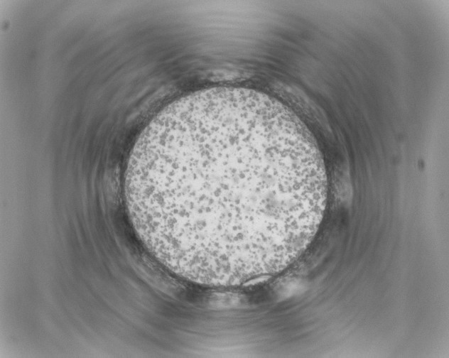 X0000059040376200511041643