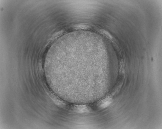 X0000059040377200511041643