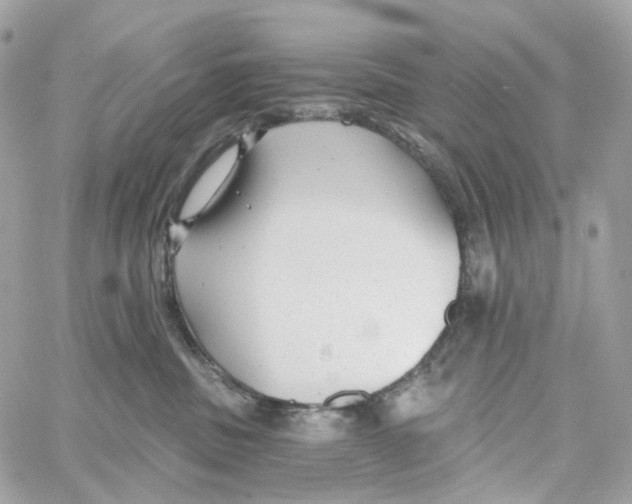 X0000059040379200511041643