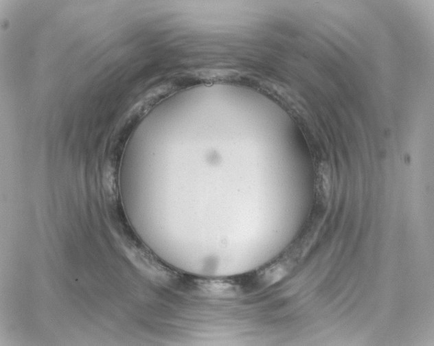 X0000059040380200511041643