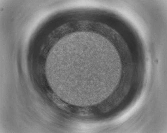 X0000059040382200511041643