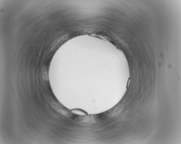 X0000059040384200511041643