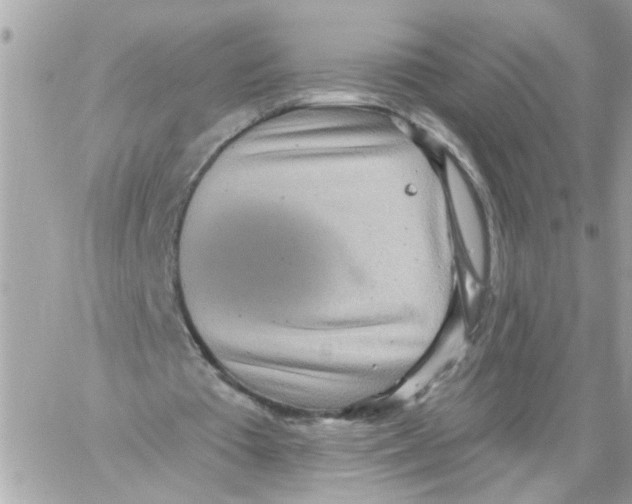 X0000059040385200511041642