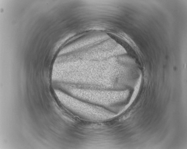 X0000059040386200511041642