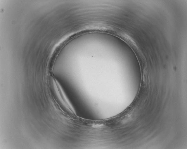 X0000059040388200511041642