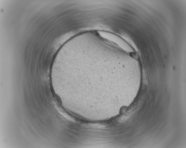 X0000059040389200511041642