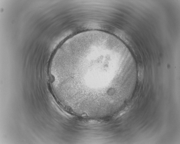 X0000059040390200511041642