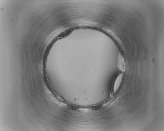 X0000059040391200511041642