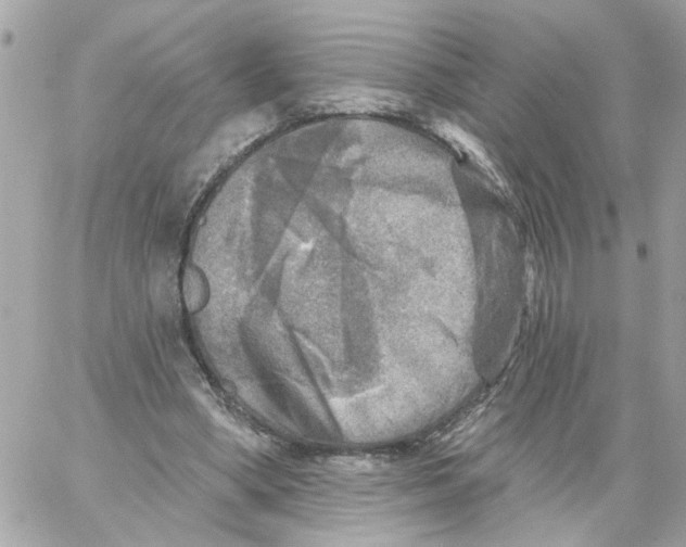 X0000059040394200511041642