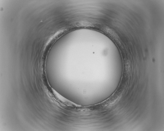 X0000059040395200511041642