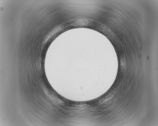 X0000059040396200511041642