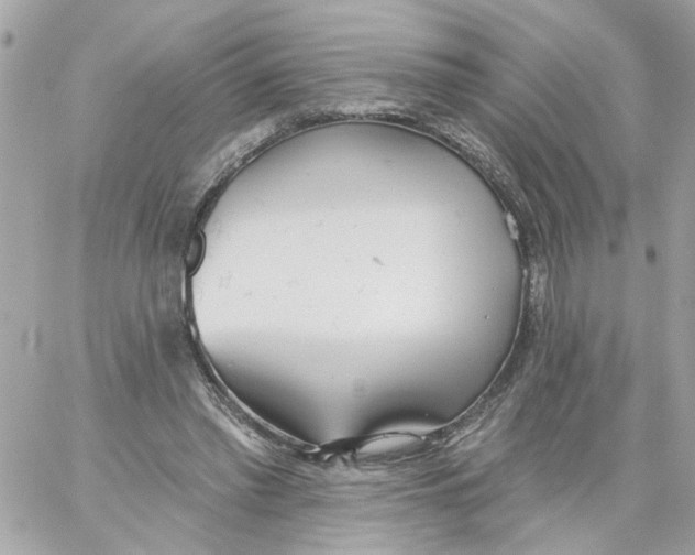 X0000059040397200511041642