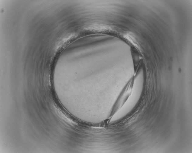 X0000059040399200511041642