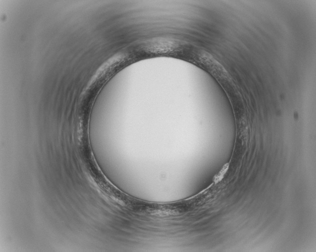 X0000059040400200511041642