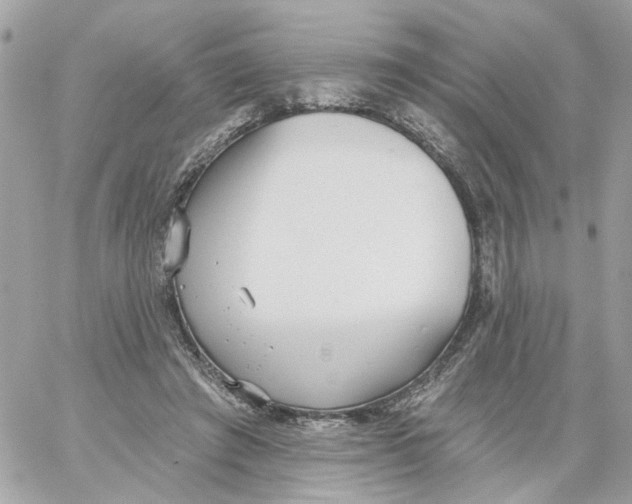 X0000059040401200511041642