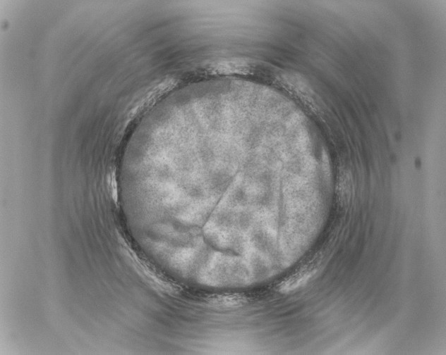 X0000059040402200511041642